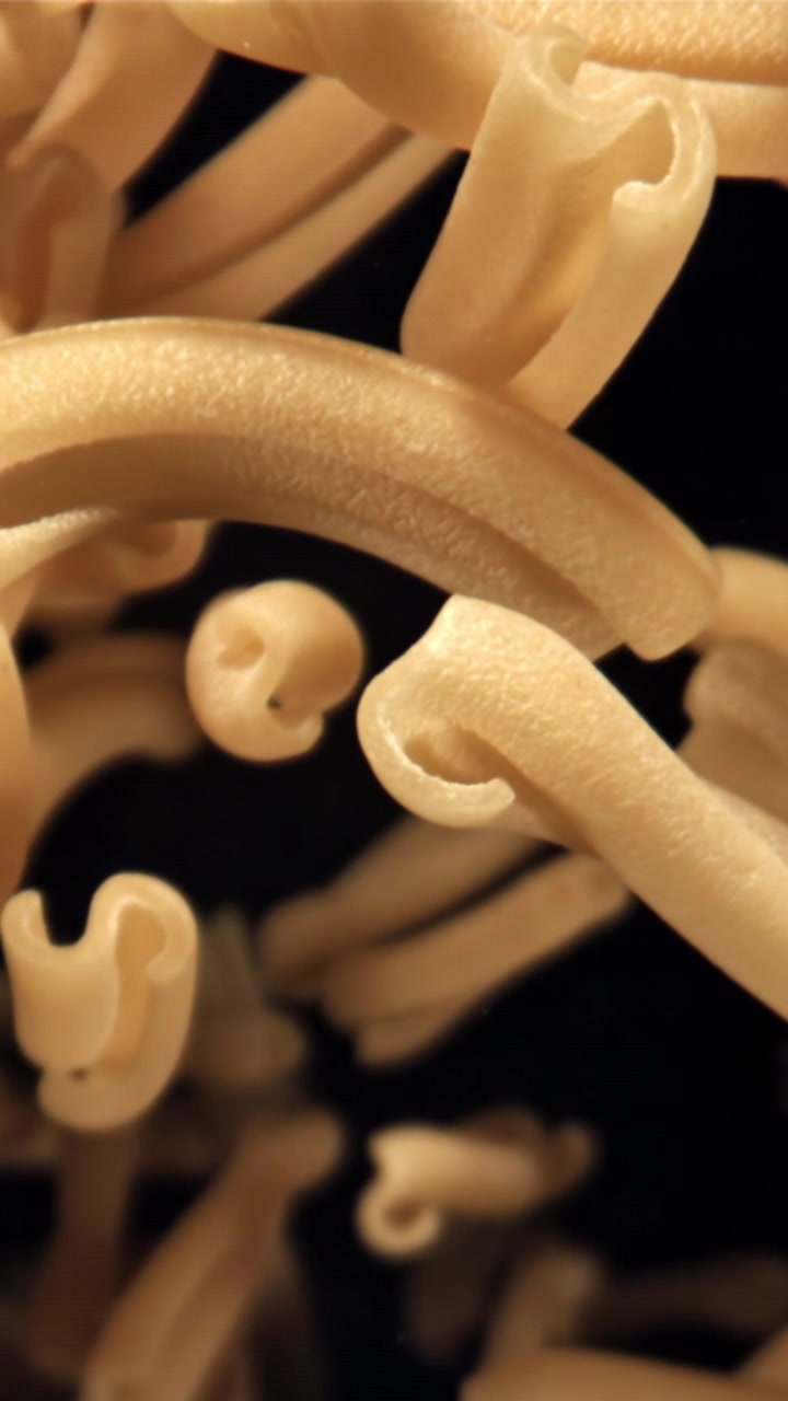 Pasta secca che cade al rallentatore su sfondo nero