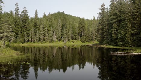 green quiet lake by the forest and mountains of alaska -wide