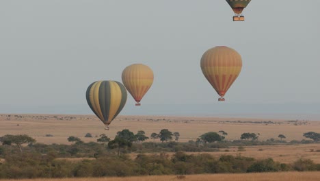 four hot-air balloons drifting over the landscape in the masai mara, kenya