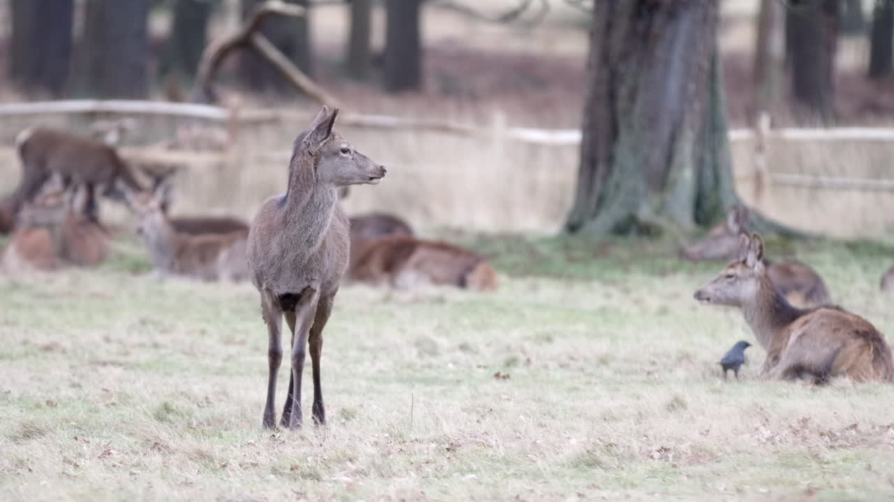 진짜 움직이는 한쪽을 보고 있어