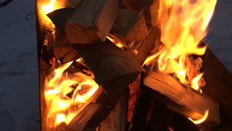 fuego de barbacoa en un día de invierno