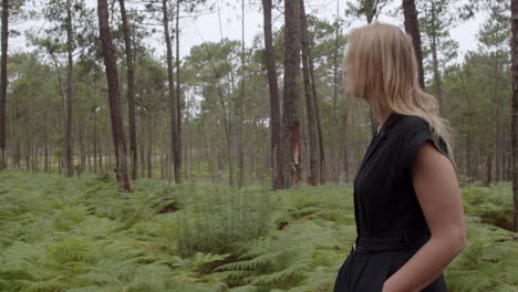 woman walking in a pine forest