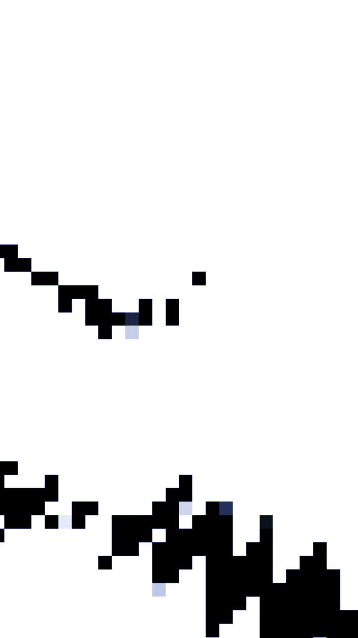 Animazione di Transizione Grafica Pixelata Bianco e Nero