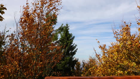 View-of-treetops-moving-in-strong-wind-from-the-side-to-side-and-the-wooden-construction-of-a-viewpoint-hitting-tree-trunks-during-a-sunny-autumn-day-captured-in-Beskids-area-4k-60fps