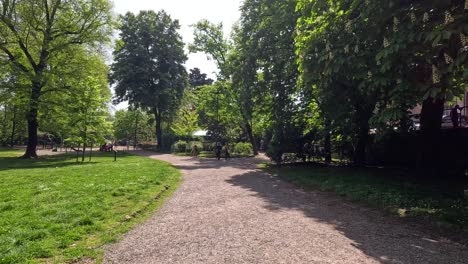 people walking in a lush green park