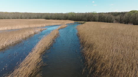 creek through marsh in bell slough state wildlife management area, arkansas, usa