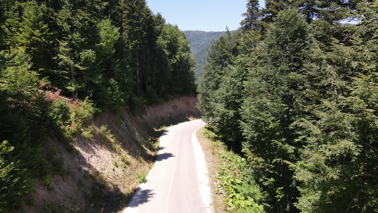 vista aérea de la carretera forestal itinerante 1