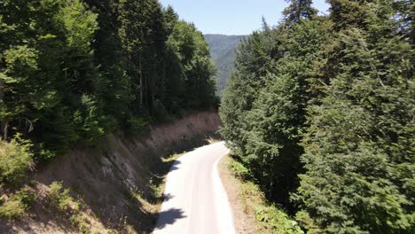 traveling forest road aerial view 1