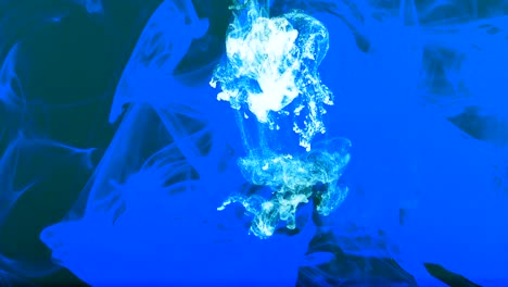 tinta abstracta esparcida bajo el agua