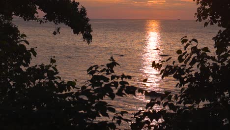 evening sunset at a beach where ocean sea water is slowly moving with waves and ripples