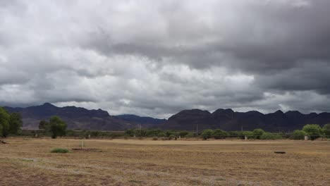 beautiful in desert spaces that are green and at the same time dry because the desert moves it in that way. a life of religious monasticism. of religious congregations.