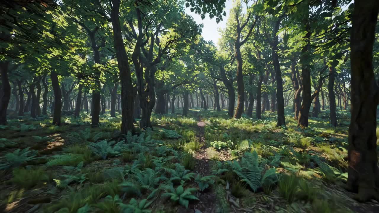 A serene forest scene captured from a low-angle perspective, showcasing lush greenery and sunlight