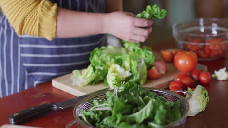 Mittelteil-Einer-Kaukasischen-Frau,-Die-In-Der-Küche-Salat-Zubereitet-Und-Gemüse-Hackt