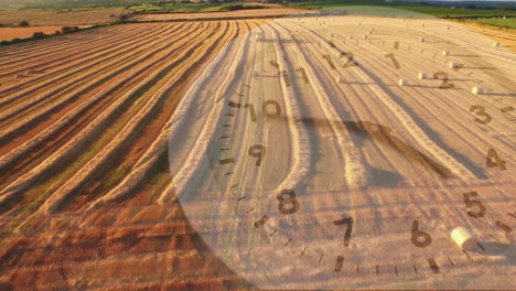 agricultural field with a clock