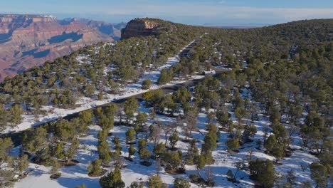 Green-Forest-Trees-In-Snow-At-The-Scenic-Drive-View-Near-Grand-Canyon-National-Park-In-Arizona,-USA