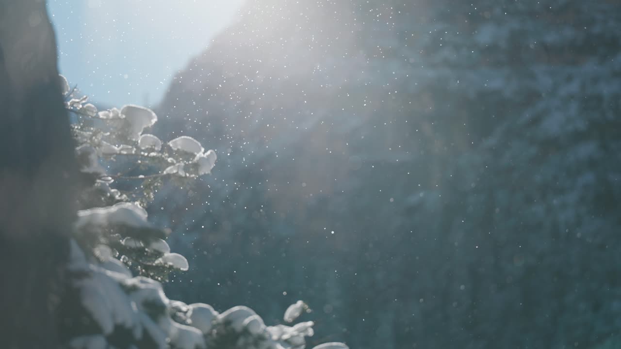 Sparkling snowflakes float in the air above the snow-covered pine tree branches. Towering, rugged cliffs in the background. Slow-motion parallax video.