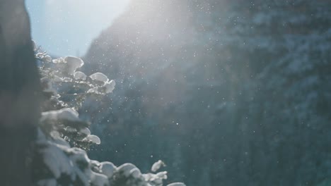sparkling snowflakes float in the air above the snow-covered pine tree branches. towering, rugged cliffs in the background. slow-motion parallax video.
