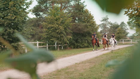 three horsewomen enjoy riding horses side by side on a sunny day, handheld