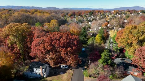 Autumn-fall-foliage