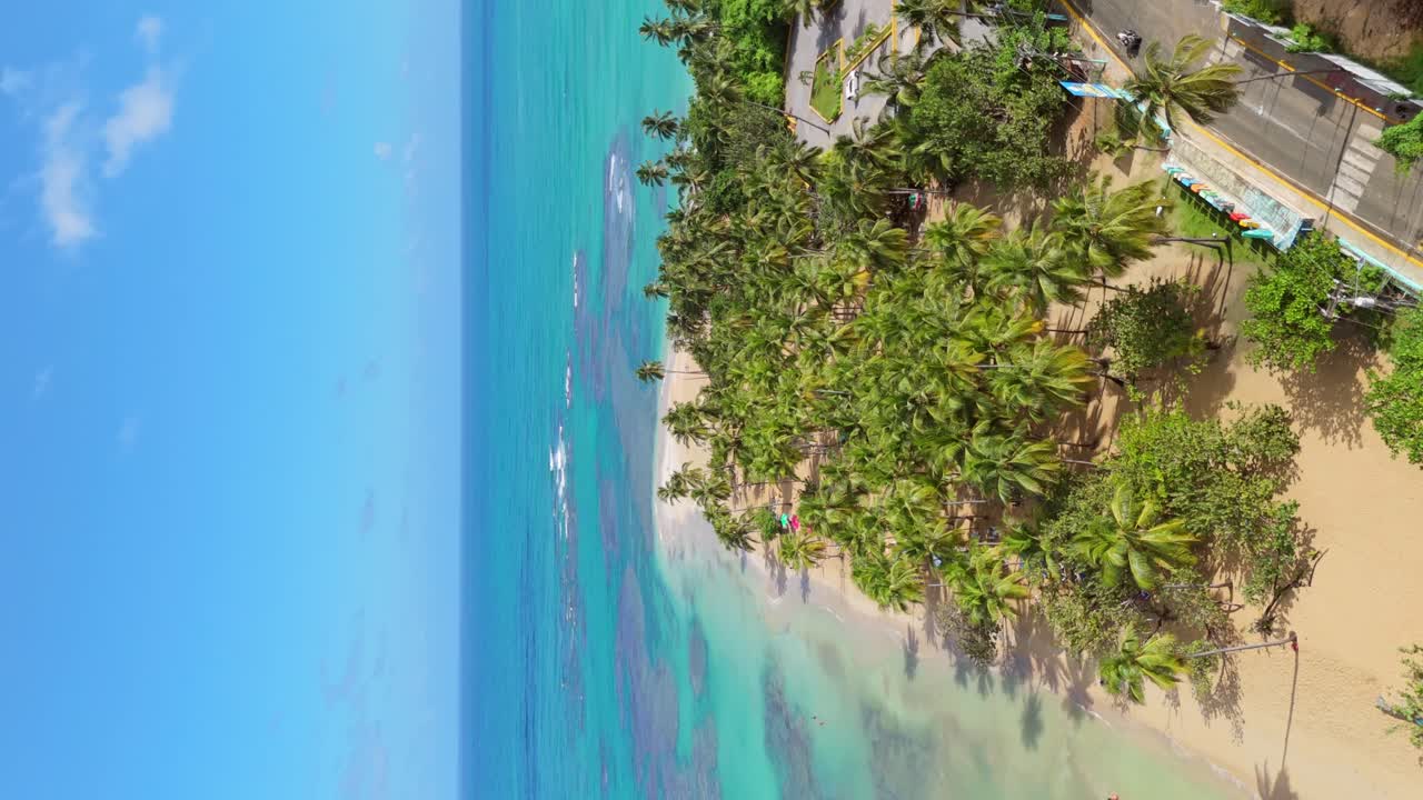 Playa Punta Popy with shallow turquoise waters, white sand and lush palm trees. Vertical drone aerial, orbit view reveals azure coast ideal for kite surfing . Las Terrenas, Dominican Republic
