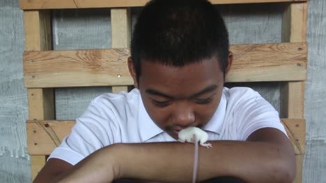 asian male teen with light mustache spending quality time bonding and training his tame and friendly pet white rat