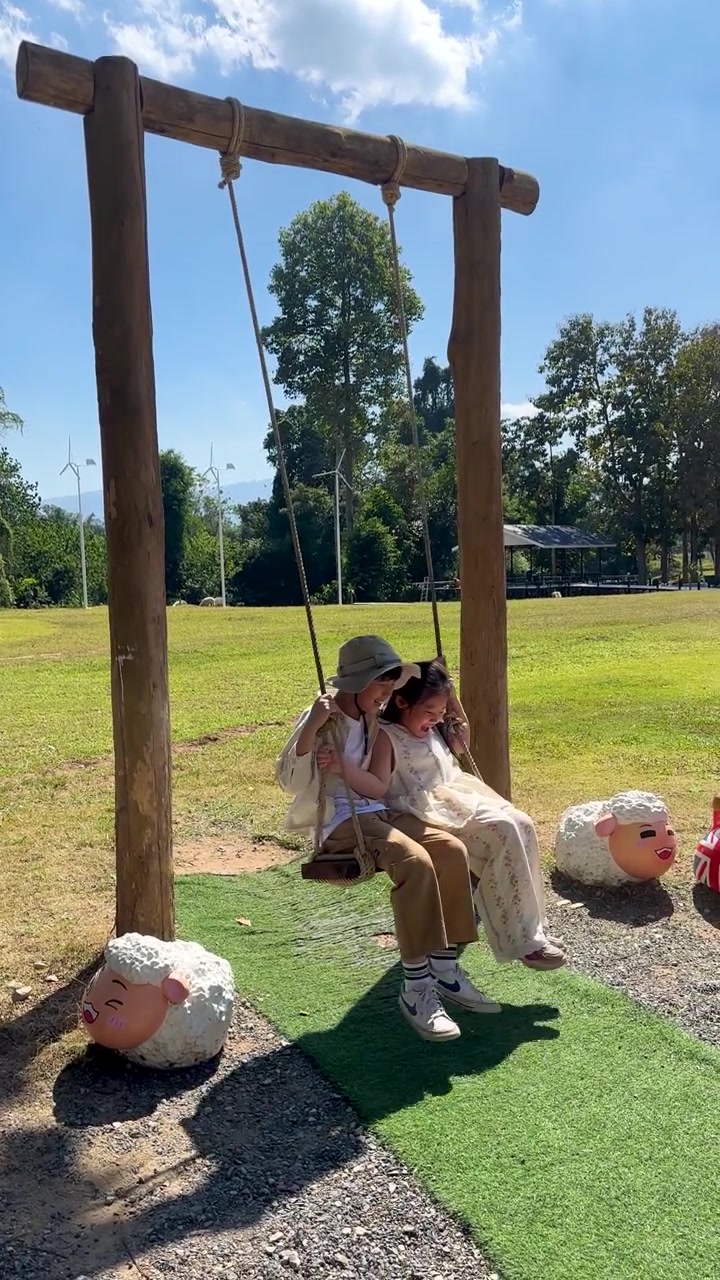 Due bambini che giocano su un'altalena di legno in un parco soleggiato