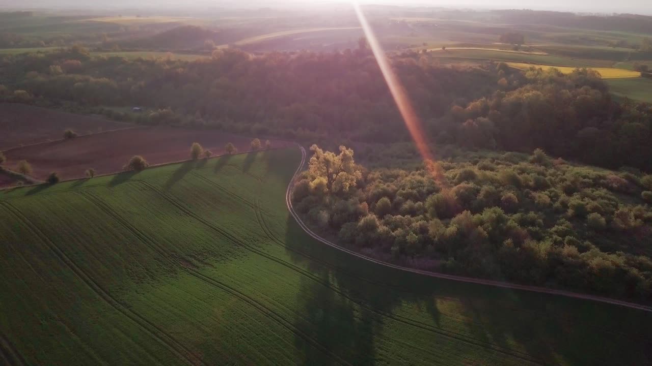 폴란드의 그린 필드와 숲의 조감도