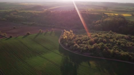 aerial view of green field and forest in poland