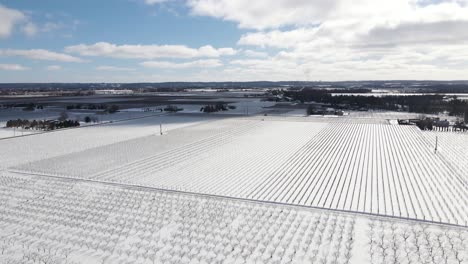 Weingut-Farm-Township-Bei-Four-Mile-Creek-Virgil-Ontario-Eingefroren