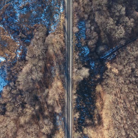 railroad in winter landscape