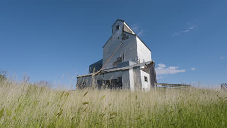 old grain elevator in a field