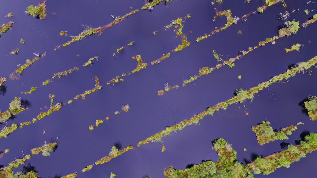 Drone che scivola all'indietro mostrando colori e texture astratti di una torbiera umida.