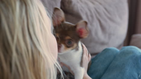 woman kissing her adorable chihuahua puppy