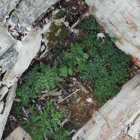 ruinas de antiguas fábricas industriales o almacenes rotos abandonados después de un desastre, una guerra o un cataclismo