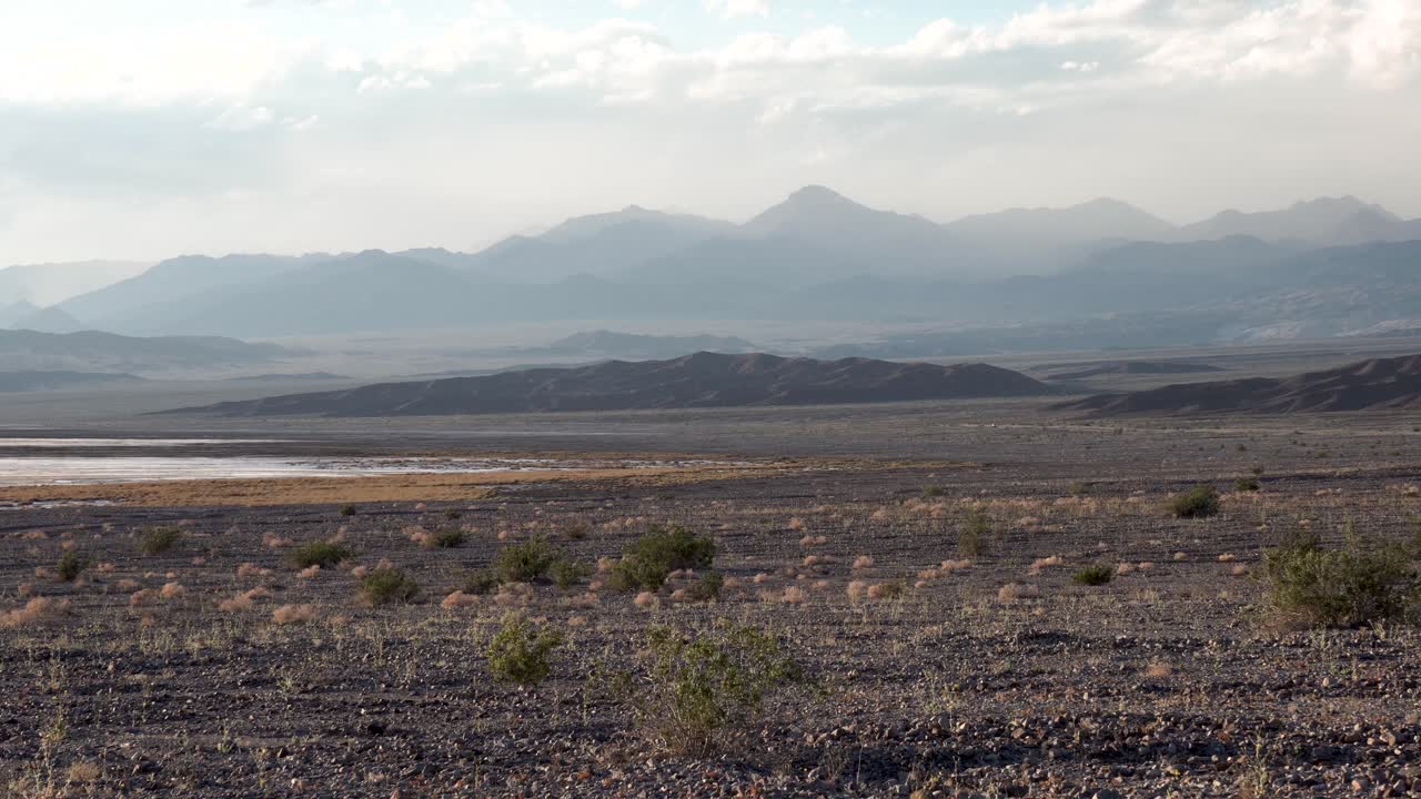 tierra grave con arbustos en el desierto de mojave, california, sobrevuelo aéreo bajo tiro lento