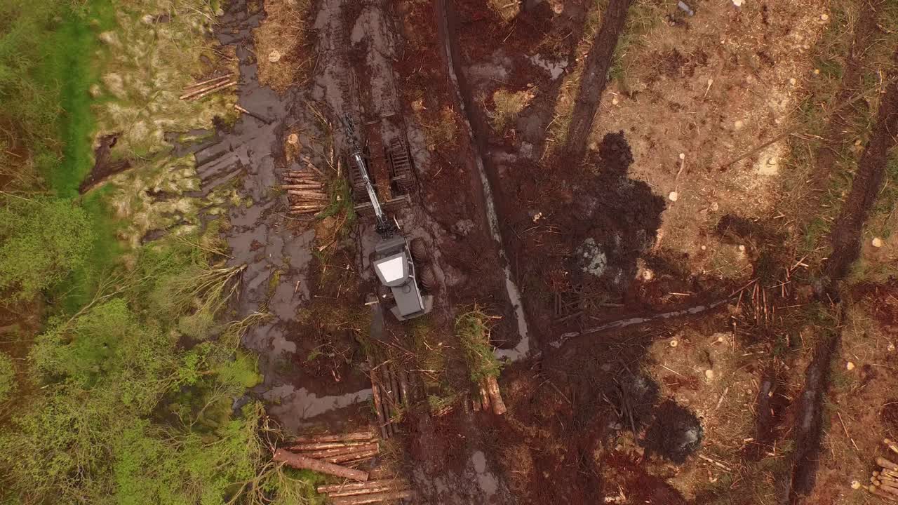 operaciones de silvicultura y tala que se llevan a cabo en las tierras altas de escocia utilizando grandes maquinarias industriales, barcos y camiones