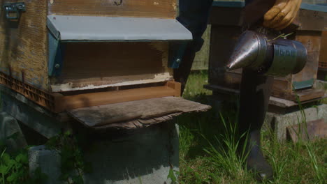 Ein-Imker-Räuchert-Mit-Den-Rauchern-Einen-Bienenstock