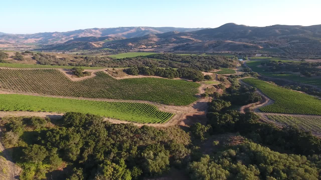 Splendida veduta aerea di vigneti collinari nella regione vinicola della denominazione Santa Rita in California 18