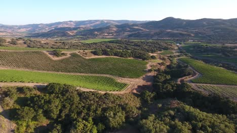 hermosa antena de viñedos montañosos en la región vitivinícola de la denominación santa rita de california 18