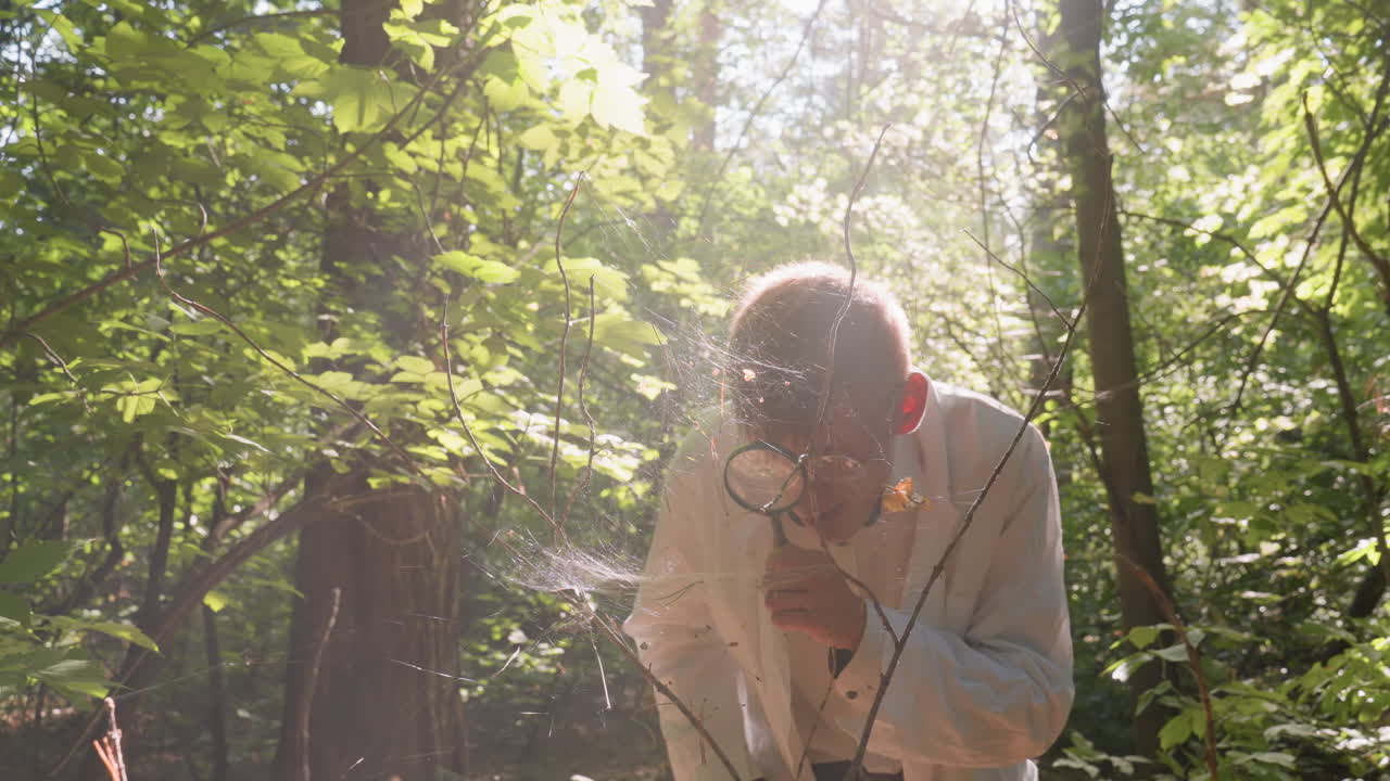 Scientific researcher wearing white coat carefully examining spider web with magnifying glass in dense forest, focusing on delicate cobweb structure illuminated by sunlight for ecological study