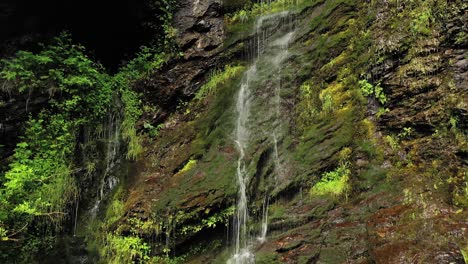 pequeña cascada limpia en el bosque. hermosa naturaleza paisaje natural de noruega.