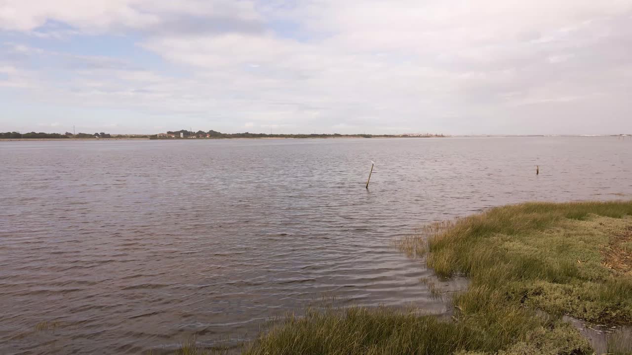 vista panorámica aérea de 4k de la cabecera de la ría de aveiro en el estuario del río vouga, drone girando hacia la izquierda mostrando dos postes para amarrar algunos barcos en el río
