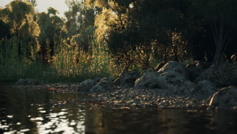 tranquil river scene