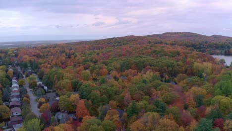 drone moving over a colourful forest