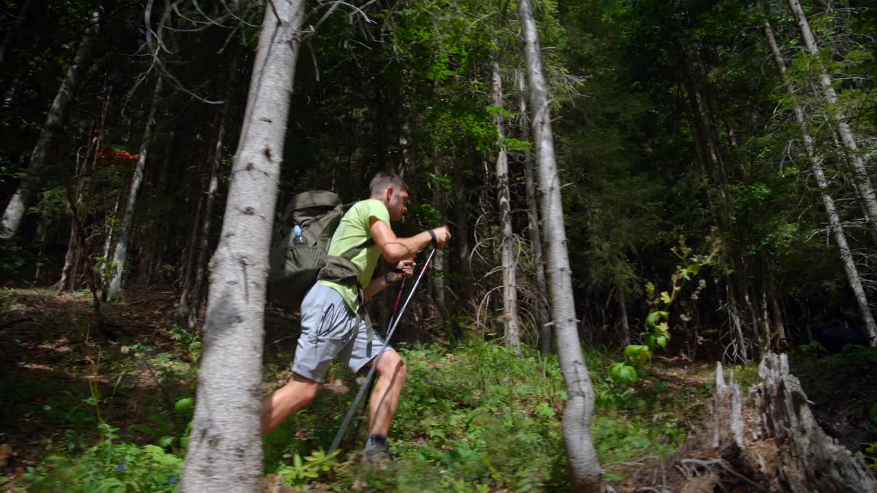 Man hiking in the forest to the mountain