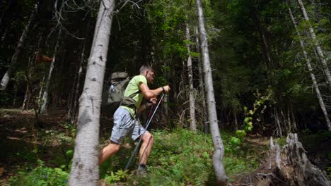hombre caminando en el bosque a la montaña