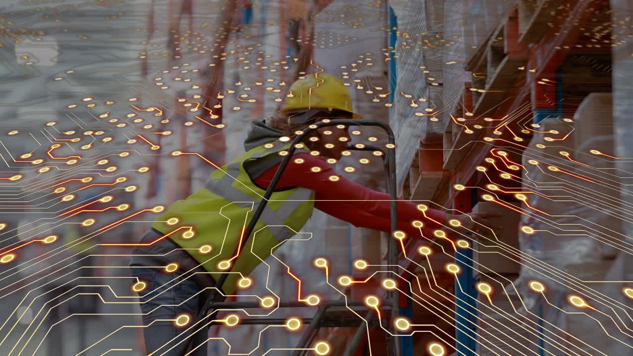 창고에서 양색 여성 노동자에 대한 연결 네트워크의 애니메이션