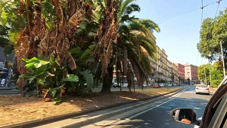 urban street scene with cars and buildings