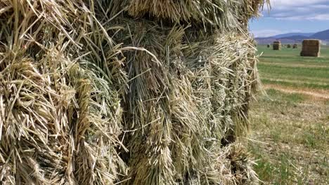 footage of a hay field reveal