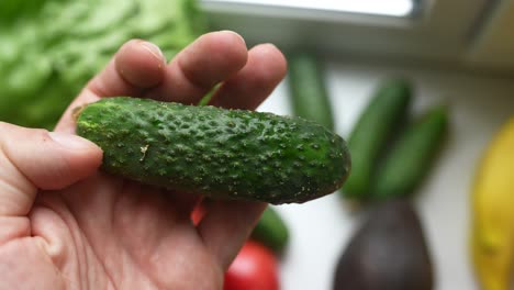 mano con un pequeño pepino